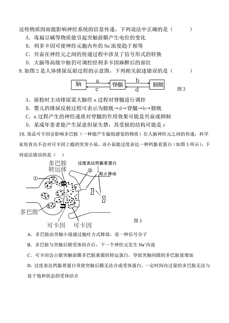 陕西省榆林市子洲县陕西省子洲中学2024-2025学年高二上学期期中考试生物试题第3页