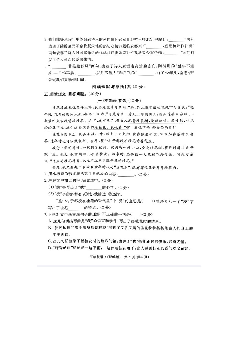 河北省廊坊市霸州市2024-2025学年五年级上学期11月期中语文试题第3页