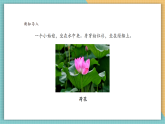 【核心素養(yǎng)新課標(biāo)】嶺南版美術(shù)四年級(jí)上冊(cè)第11課《美麗的荷塘》課件+教學(xué)設(shè)計(jì)