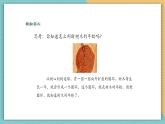 【核心素養(yǎng)新課標】嶺南版美術四年級上冊第13課《千姿百態(tài)的樹》課件+教學設計
