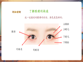 【新教材新課標(biāo)】湘美版美術(shù)一年級上冊第2單元第4課 大眼睛（課件+教學(xué)設(shè)計+視頻素材）