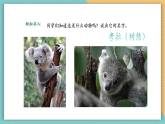 【新課標核心素養(yǎng)】嶺南版美術(shù)六年級上冊第11課《寫意動物（二）》課件+教學設(shè)計