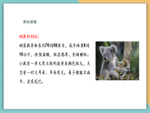 【新課標核心素養(yǎng)】嶺南版美術(shù)六年級上冊第11課《寫意動物（二）》課件+教學設(shè)計