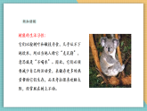 【新課標核心素養(yǎng)】嶺南版美術(shù)六年級上冊第11課《寫意動物（二）》課件+教學設(shè)計