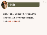 人教版生物七年级上册2.3.1《微生物的分布》课件