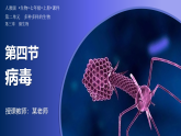 人教版生物七年级上册2.3.4《病毒》课件