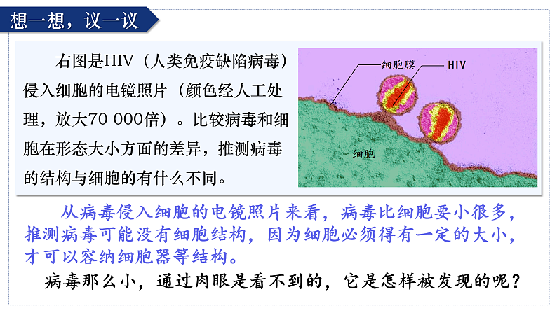 人教版生物七年级上册2.3.4《病毒》课件03