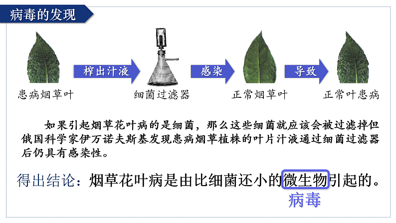 人教版生物七年级上册2.3.4《病毒》课件07