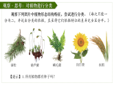 人教版生物七年级上册2.4.1《尝试对生物进行分类》教学课件