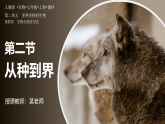 人教版生物七年级上册2.4.2《从种到界》课件