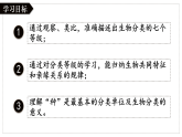 人教版生物七年级上册2.4.2《从种到界》课件