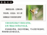 人教版生物七年级上册2.4.2《从种到界》课件