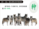 人教版生物七年级上册2.4.2《从种到界》课件