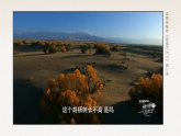 人教版高中生物选择性必修二3.3《生态系统的物质循环》课件