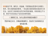 人教版高中生物选择性必修二3.3《生态系统的物质循环》课件