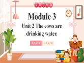【2025春新課標(biāo)】外研版英語(yǔ)六年級(jí)下冊(cè)Module 3 Unit2 The cows are drinking water 課件+單元整體教學(xué)設(shè)計(jì)