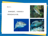 【新課標(biāo)新教材】嶺南版美術(shù)七上第14課 《魚形啟巧思》核心素養(yǎng)教案+課件