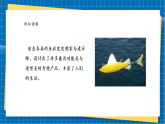 【新課標(biāo)新教材】嶺南版美術(shù)七上第14課 《魚形啟巧思》核心素養(yǎng)教案+課件