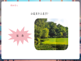 【核心素養(yǎng)大單元】教科版科學(xué)一年級上冊1.1《我們知道的植物》單元整體設(shè)計+課件+教案