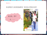 【核心素養(yǎng)大單元】教科版科學(xué)一年級上冊1.2《觀察植物》單元整體設(shè)計+課件+教案