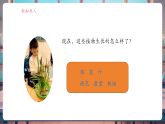 【核心素養(yǎng)大單元】教科版科學(xué)一年級上冊1.3《植物長在哪里》單元整體設(shè)計+課件+教案+素材