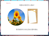 【核心素養(yǎng)大單元】教科版科學(xué)一年級上冊1.4《給植物畫張“像”》單元整體設(shè)計+課件+教案