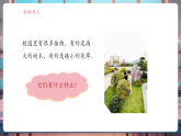 【核心素養(yǎng)大單元】教科版科學(xué)一年級上冊1.6《校園里的植物》單元整體設(shè)計+課件+教案+素材