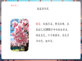 【核心素養(yǎng)大單元】教科版科學(xué)一年級上冊1.6《校園里的植物》單元整體設(shè)計+課件+教案+素材