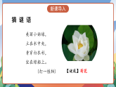 人教部編版語文三年級(jí)下冊(cè) 第三課《荷花》第一課時(shí) 課件+教案+分層練習(xí)+學(xué)習(xí)任務(wù)單