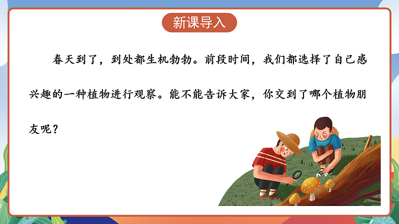 人教部编版语文三年级下册 习作一：我的植物朋友 课件第3页