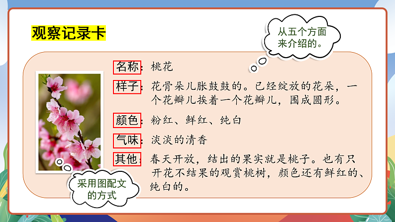 人教部编版语文三年级下册 习作一：我的植物朋友 课件第8页