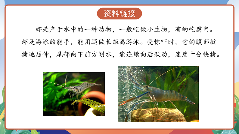 人教部编版语文三年级下册 第15课《小虾》课件第4页