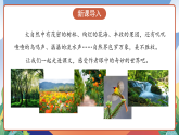 人教部编版语文三年级下册 第二十二课《我们奇妙的世界》第一课时 课件+教案+分层练习+学习任务单
