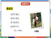 人教部编版语文三年级下册 习作七：国宝大熊猫 课件+教案+学习任务单