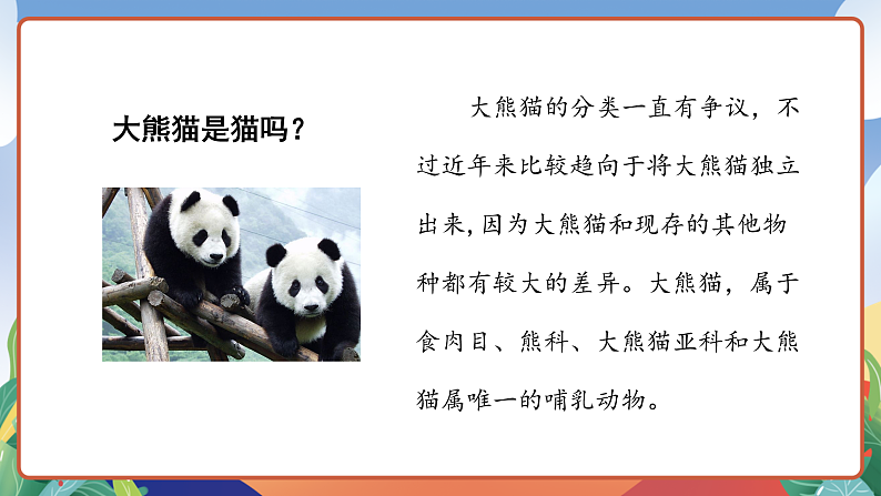 人教部编版语文三年级下册 习作七：国宝大熊猫 课件第6页