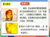 人教部編版語(yǔ)文四年級(jí)下冊(cè) 5《琥珀》課件+教案+學(xué)習(xí)單+素材