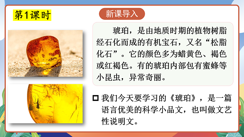 人教部编版语文四年级下册 5《琥珀》课件第3页