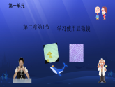 初中  生物  人教版（2024）  七年級(jí)上冊(cè)  第一單元 生物和細(xì)胞  第二章 認(rèn)識(shí)細(xì)胞  第一節(jié) 學(xué)習(xí)使用顯微鏡 課件