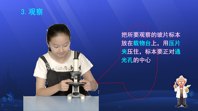 16428996第8页