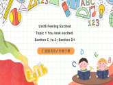 仁爱科普版英语八下 Unit 5 Topic 1 《You look excited》阅读课 课件+教案+音视频