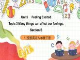 仁爱科普版英语八下 Unit 5 Topic 3 《Feeling Excited》Section B 课件+教案+音视频