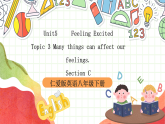 仁爱科普版英语八下 Unit 5 Topic 3 《Feeling Excited》Section C 课件+教案+音视频