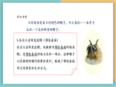 【核心素養(yǎng)新課標(biāo)】嶺南版美術(shù)四年級(jí)上冊(cè)第17課《可愛(ài)的童帽》課件+教學(xué)設(shè)計(jì)