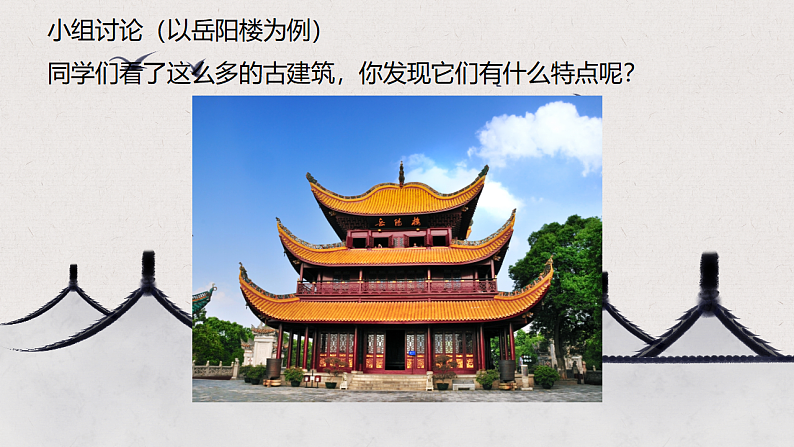 16469682第6页
