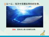 黔教版信息技术 五年级上册主题活动12《海底世界》教学课件