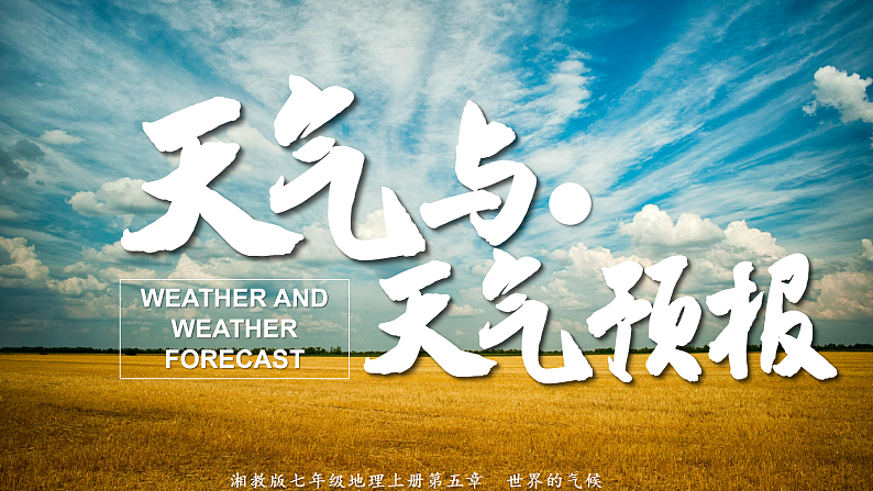 16491520第1页