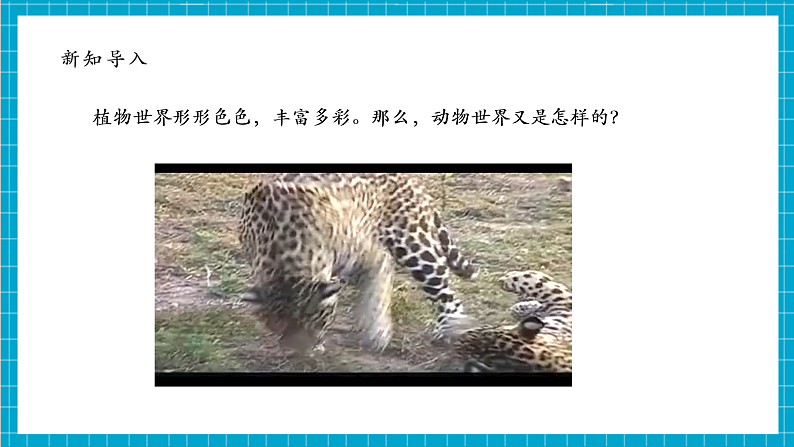 【大单元整体教学】2.4《多种多样的动物》课时课件第6页