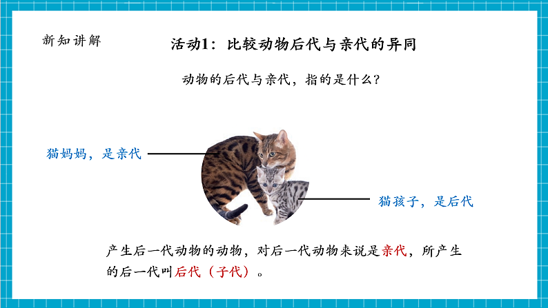 【大单元整体教学】2.4《多种多样的动物》课时课件第8页