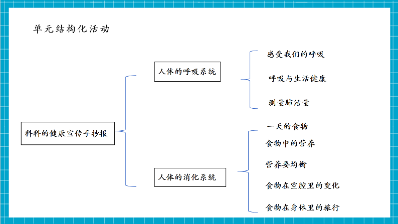 第2单元第3课 测量肺活量 课时课件第3页