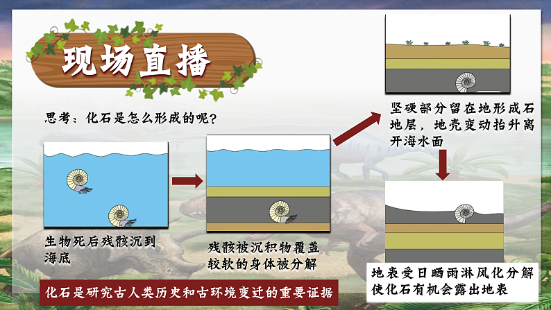 部编版初中历史课件新教材七上第1课远古时期的人类活动第7页